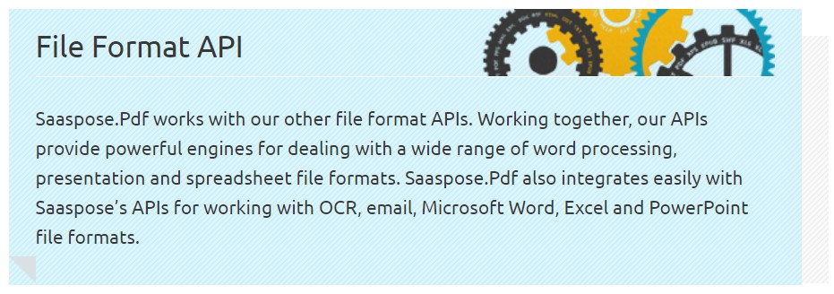 File Format API pdf